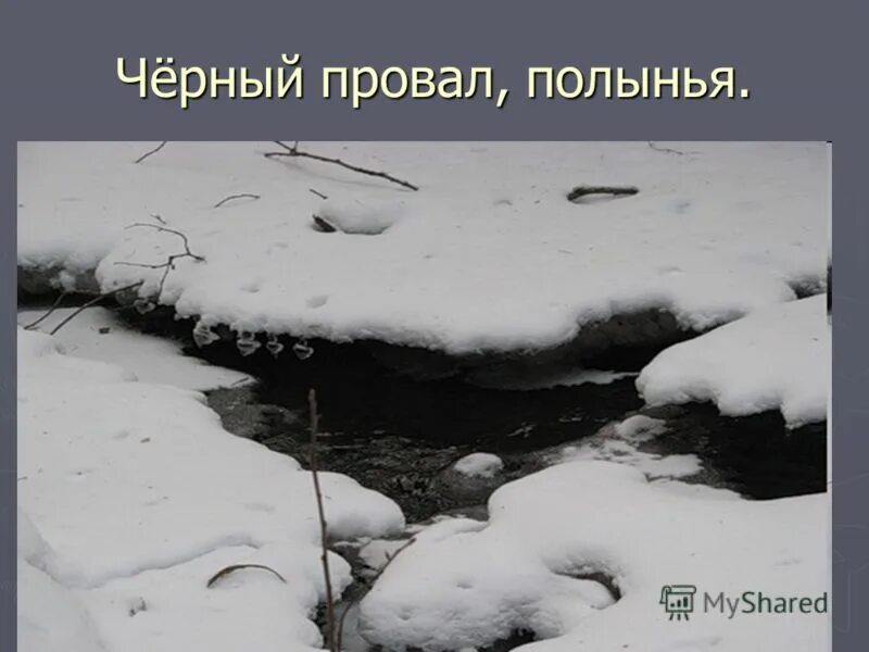текст полынья. стих про свинью и полынью. текст полынья. полынья это для детей. что такое полынья 3 класс.