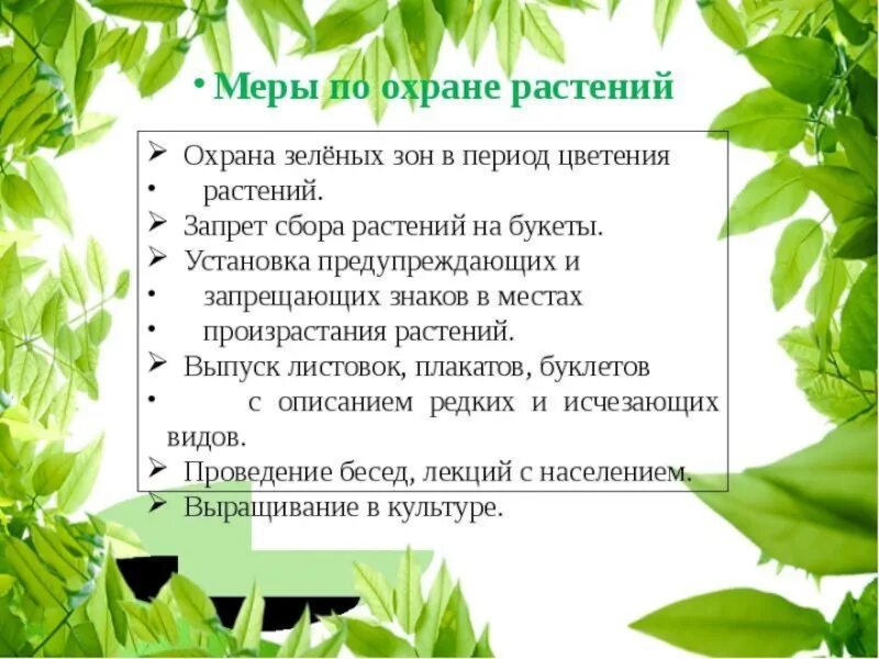 Охрана растений. Охрана растений презентация. Охрана растений 3 класс. Мероприятия по охране растений. Как можно сохранить растения