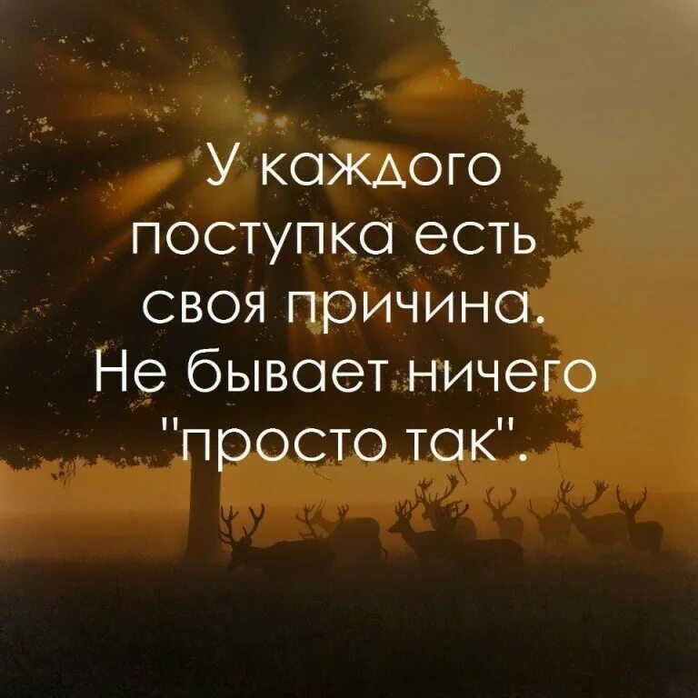 Высказывания о поступках. Ничего не бывает просто так цитаты. У каждого поступка есть своя. У каждого поступка есть своя причина. Ничего просто слушай