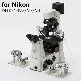 Mtk 1