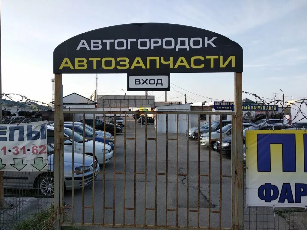 Авторынок у глобуса. Авторынок у глобуса. Куйбышевское шоссе 43 рязань. Автоаптека рязань. Бирюзова, д.
