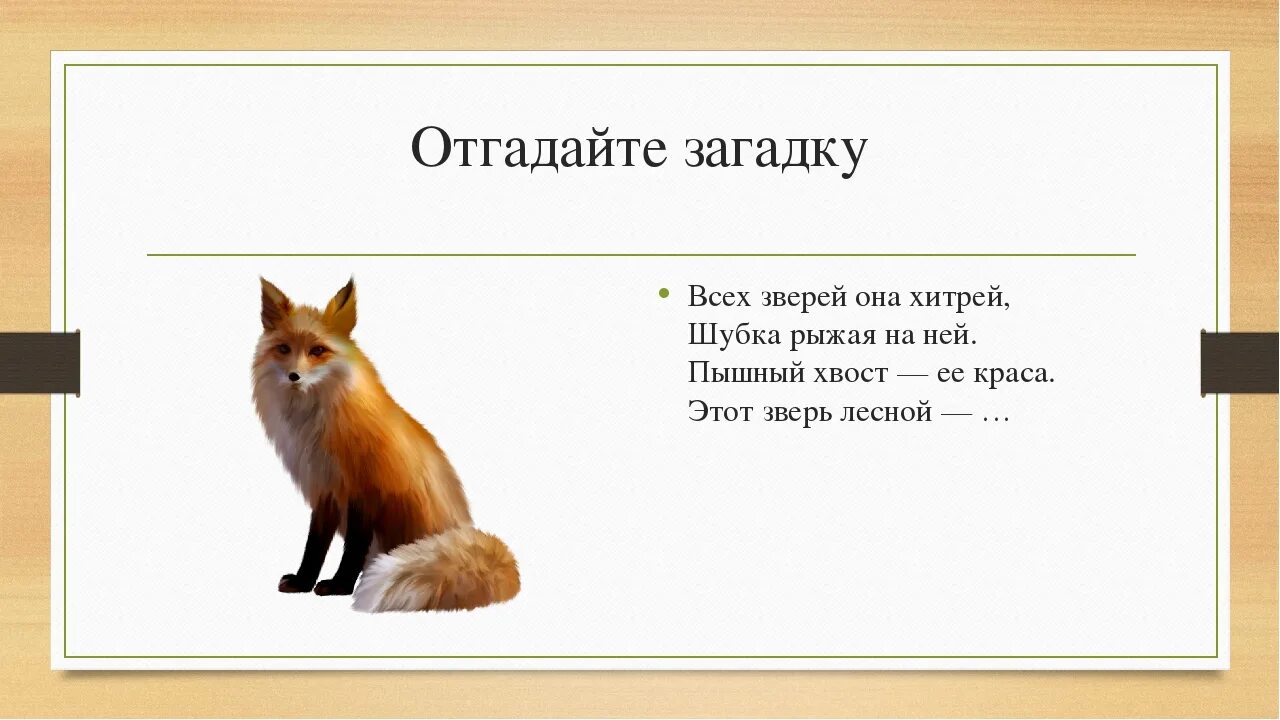 Хвост лисицы текст. Загадка про лису для детей 4-5. Загадка про лису 1 класс. Загадка про лису. Загадка про лицо.