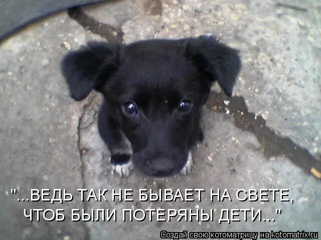 Так не бывает на свете чтоб. Так не бывает на свете чтоб были потеряны дети. ведь так не бывает на свете чтоб были. ведь так бывает на свете. чтоб были потеряны дети.