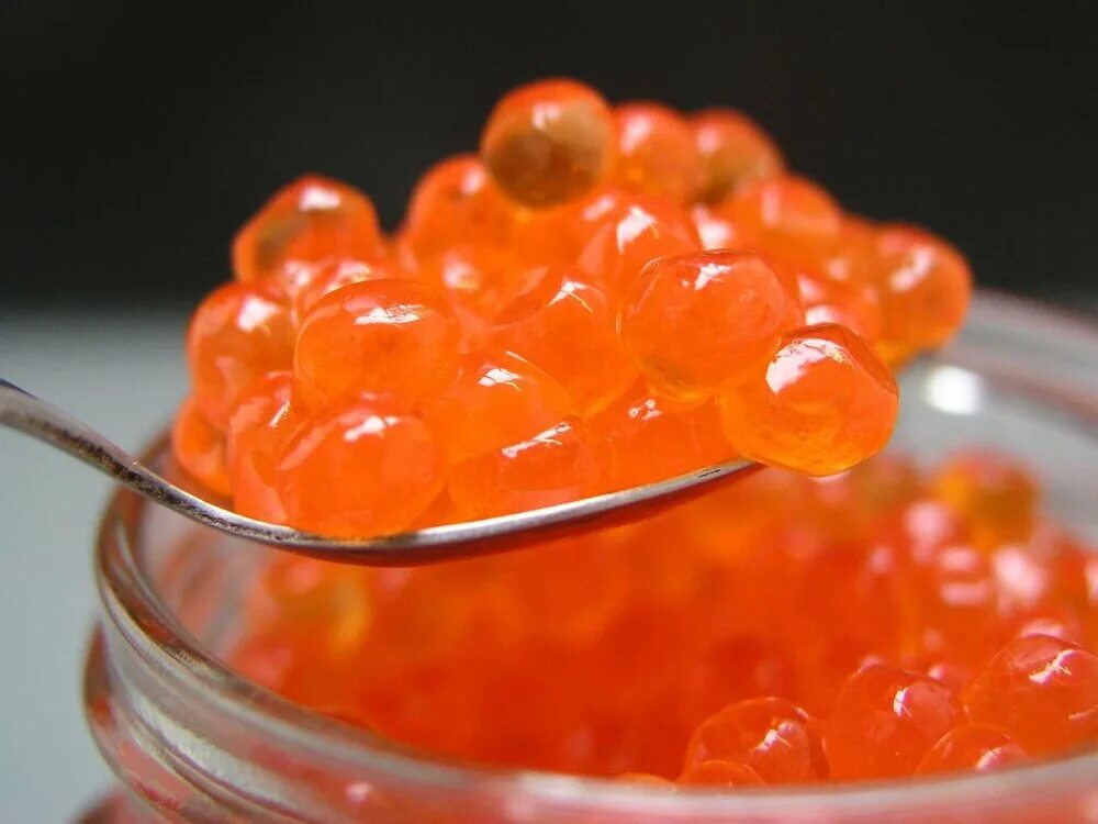 Salmon Caviar икра лососевая. Икра чавычи. Кетовая икра. Красная икра кеты. Икра при язве