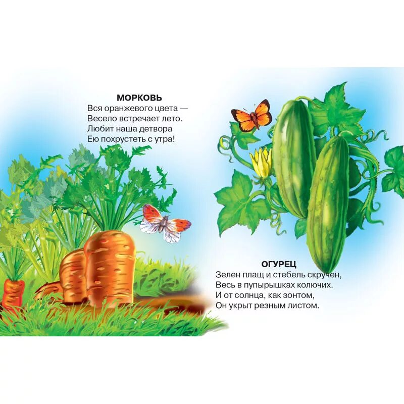 детские стихи про огород. стишки про огород для детей. консультации про овощи для дошкольников. детский стишок про огород. детские стихи про огород.