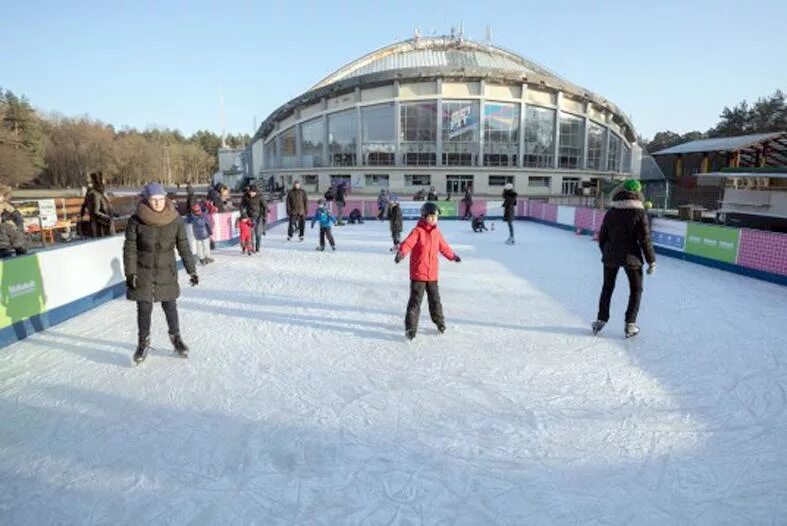 Каток новости. Новый каток в Тбилиси. Парк Вингис эстрада. Вингис.