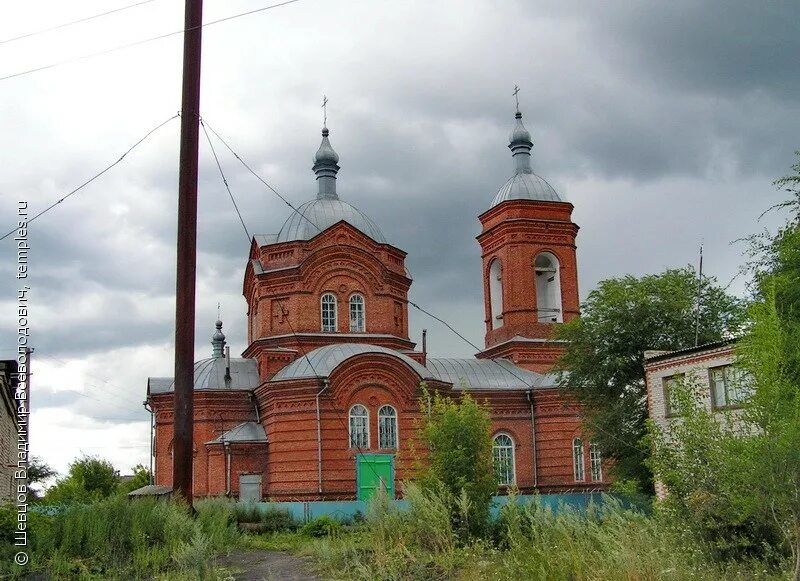 Погода плотниково притобольного