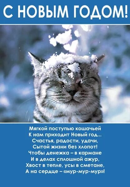 Тихой поступью. Мягкой поступью кошачьей к нам приходит новый год. Мягкой поступью кошачьей к нам приходит открытка. Стихи поздравления мягкой поступью кошачьей. Мягкой поступью кошачьей к нам приходит новый год открытка.