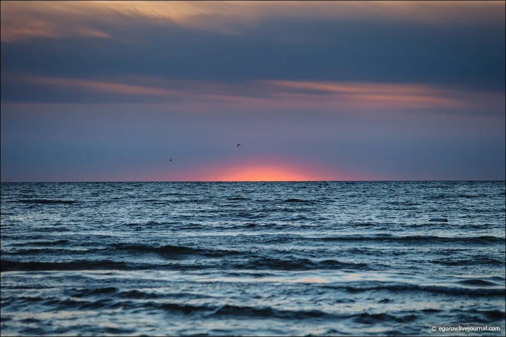 Пересекают океаны песни. Северное море и Балтийское море. Цвет Балтийского моря. Море двух цветов. Океан с морем пересекается.