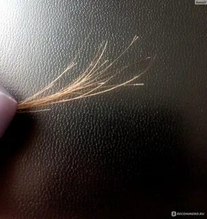 Ломкие секущиеся