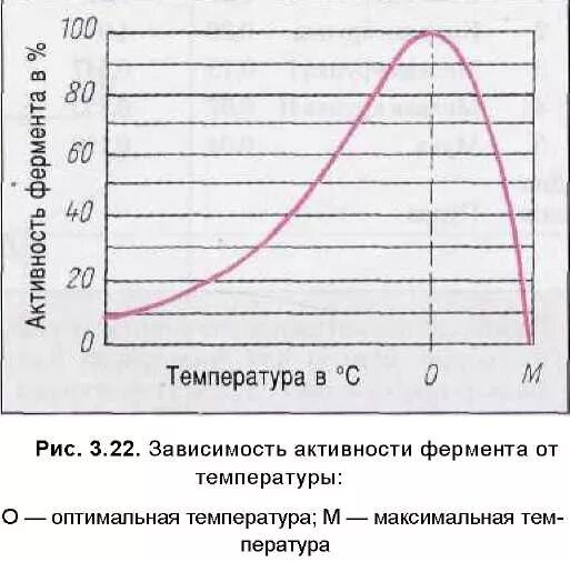Зависимость ферментативной активности амилазы от температуры. График зависимости активности ферментов от температуры. Зависимость активности ферментов график.