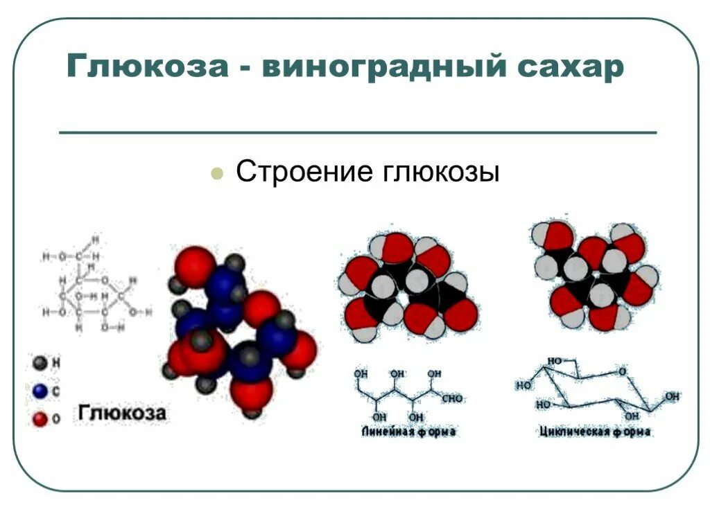 Углеводы глюкоза строение