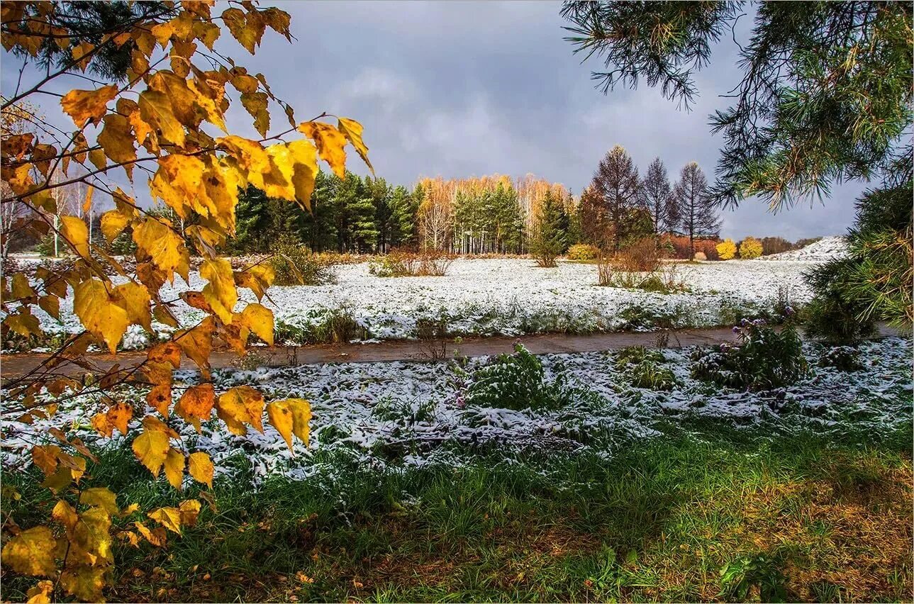 Ноябрьские картинки. Поздняя осень. Ноябрь природа. Снежная осень. Первый снег.