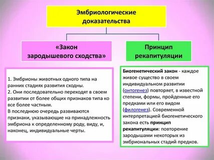 Сходство видов и внутренних процессов