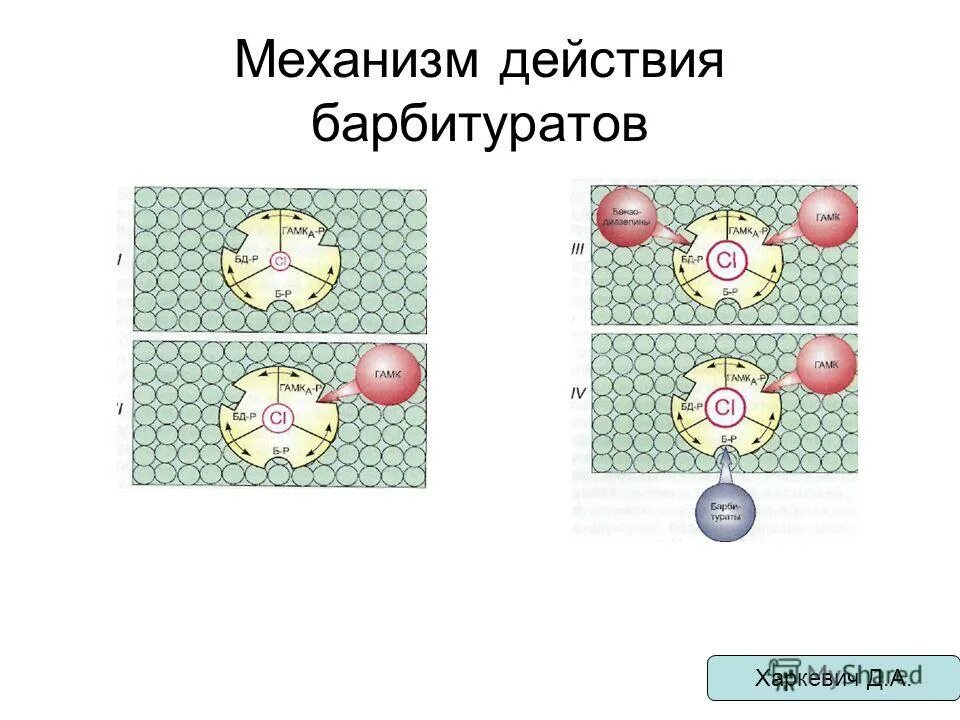 Снотворные механизм действия. Механизм действия снотворного действия барбитуратов. Барбитураты механизм. Механизм действия барбитуратов. Биохимический механизм действия барбитуратов.