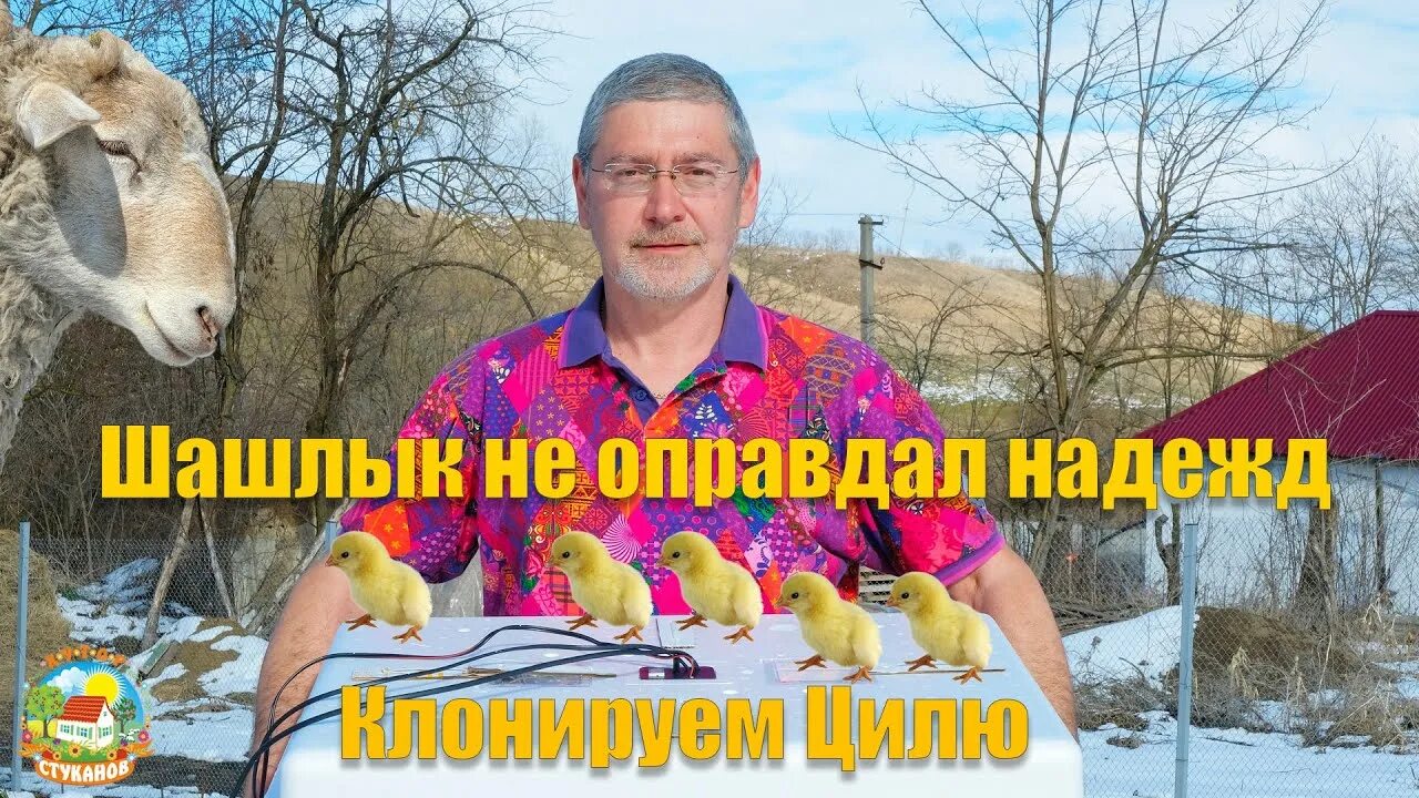Хутор стуканов краснодарский край новое видео дзен. Хутор стуканов дзен. Хутор стуканов дзен. Хутор стуканов краснодарский край новое видео дзен. Стуканов краснодарский край.