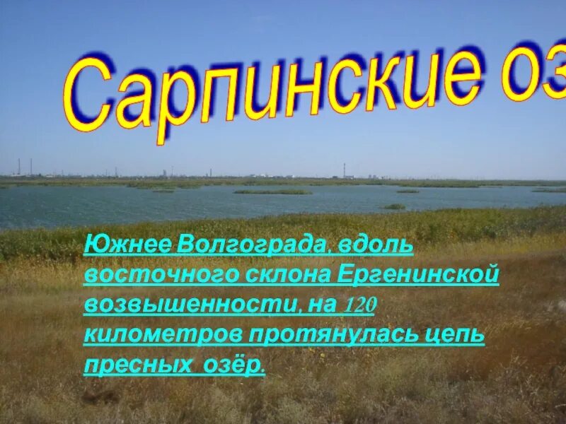 Сарпинские озера. Сарпинские озёра Волгоградской области. Озера острова Сарпинский. Ергенинская возвышенность Волгоград.