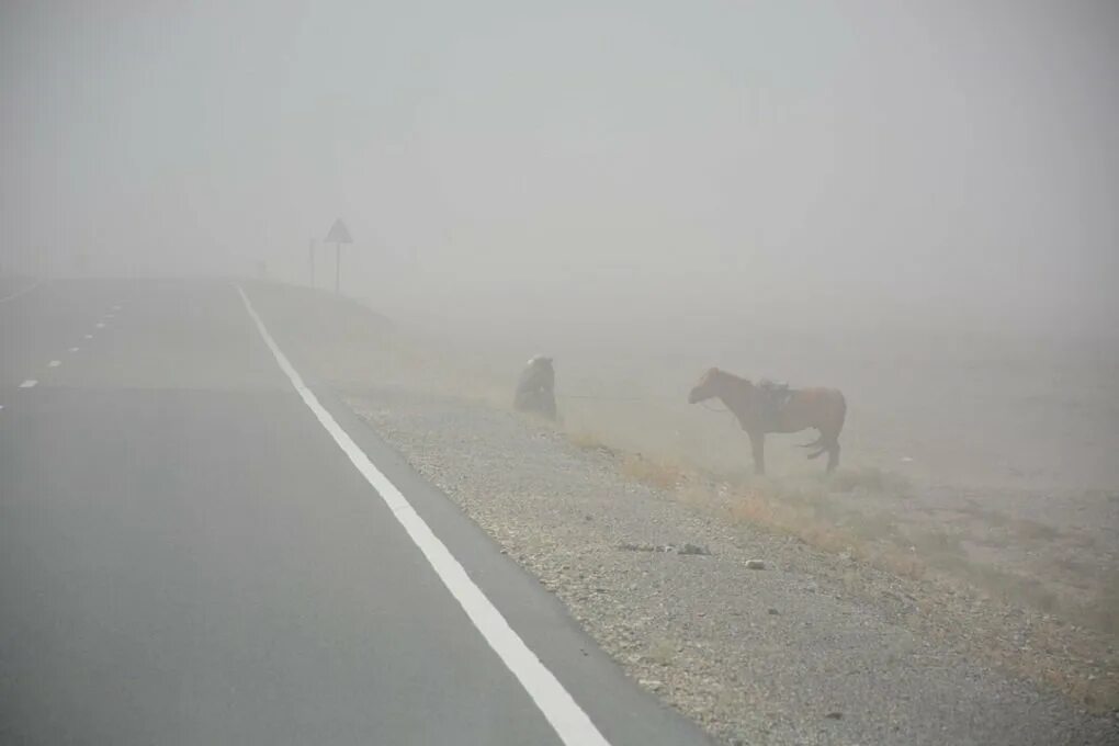 Песчаная буря. Песчаная буря в Монголии. Песчаная буря в Улан-Баторе. Погодные условия Монголия.