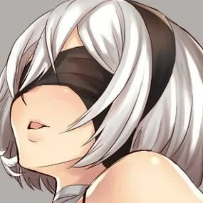 Maplestar nier animation
