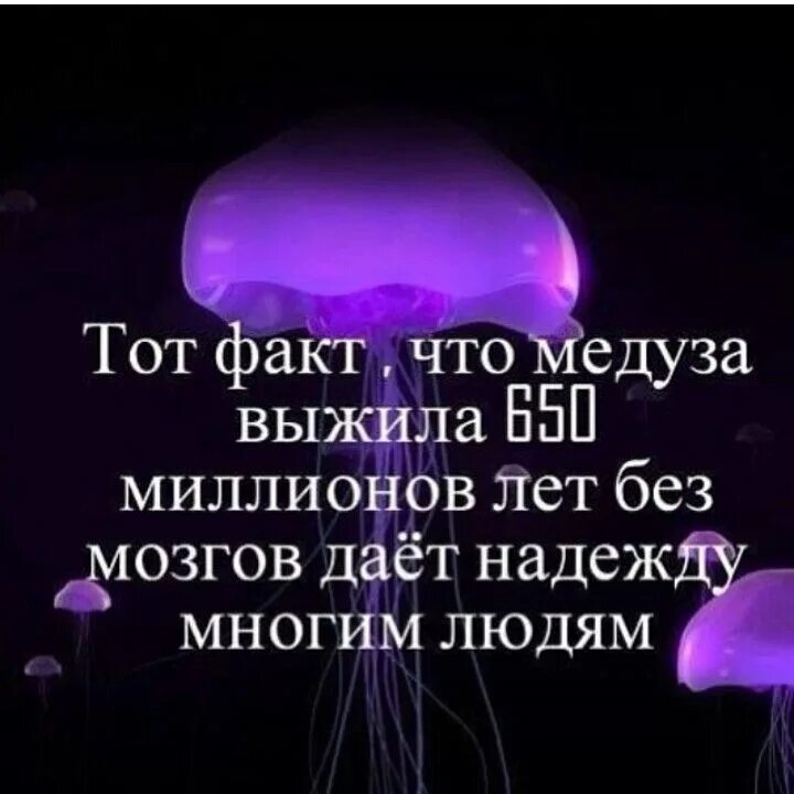 Что значит давать мозги