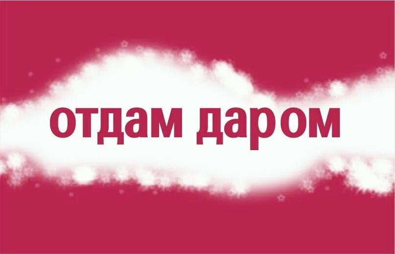 Объявления приму даром. Отдам даром надпись. Значок отдам даром. Отдам даром фото. Отдам даром иконка.