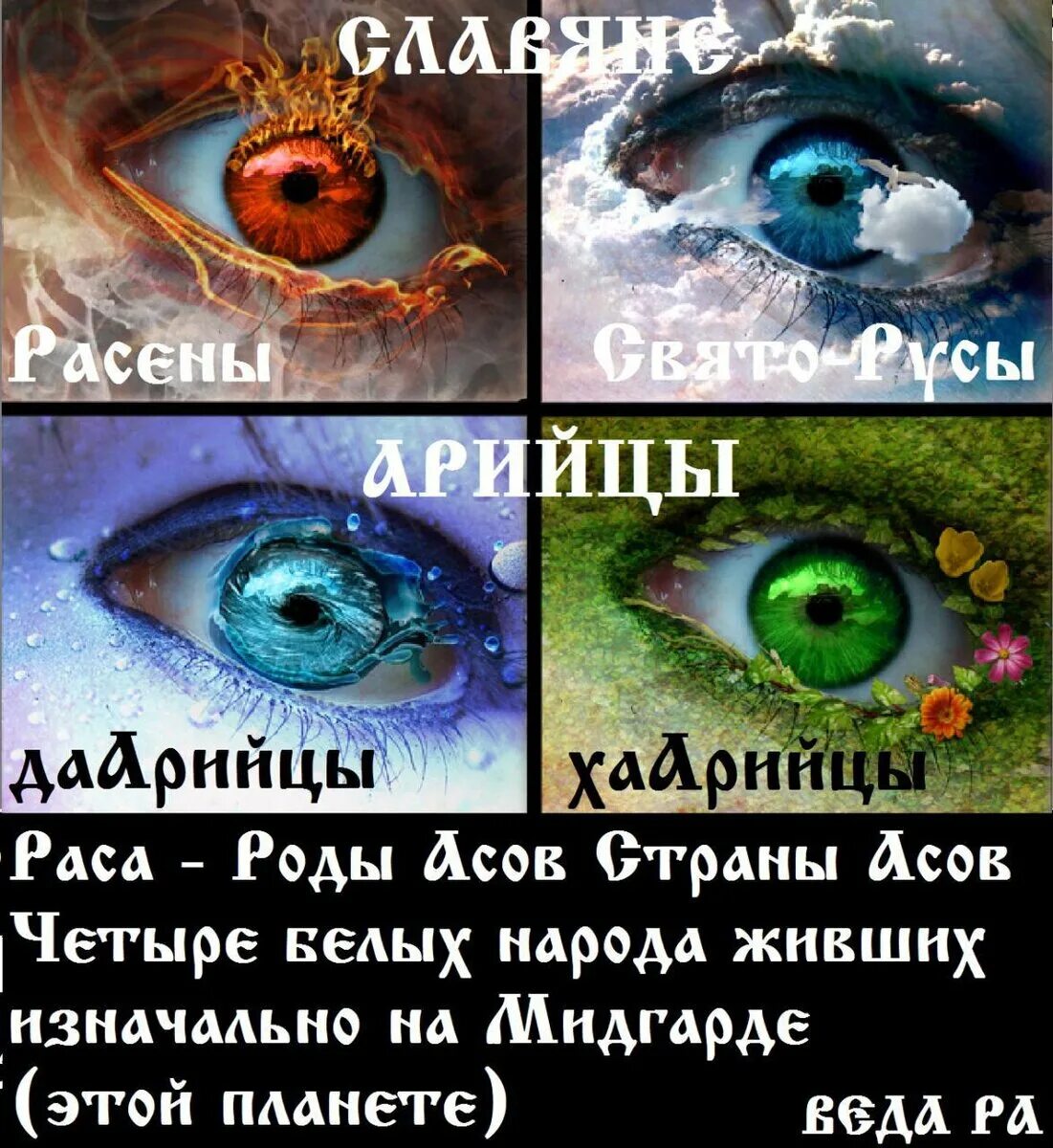 Цвет глаз арийцев. Харийцы дарийцы рассены. харийцы дарийцы рассены святорусы цвет глаз. цвет глаз дарийцы харийцы. арийцы харийцы рассены.