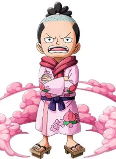 One piece momonosuke