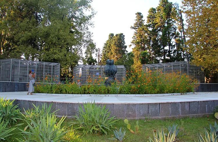 Абхазия сухум обезьяний питомник. Абхазия сухум обезьяний питомник. Сухум питомник. Абхазия сухум обезьяний питомник. Сухум питомник.