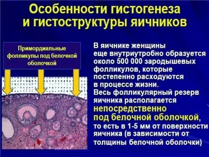 Снижение овариального