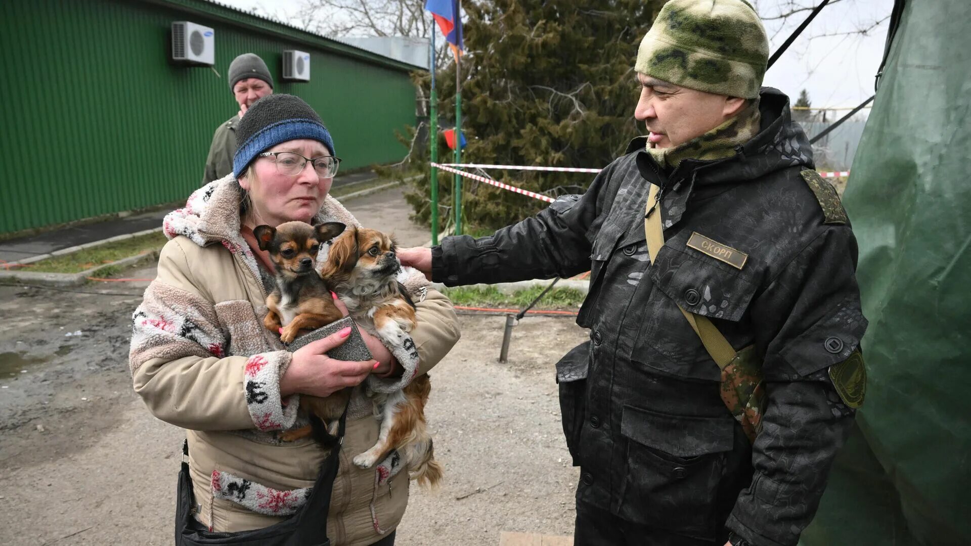 Сообщите российские новости. Животные на войне на Украине. Звери Донбасса. Животные на украинском.