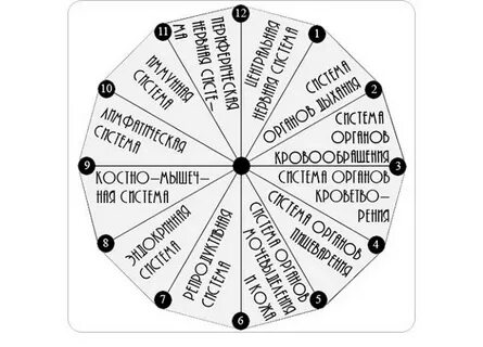Про 12 система