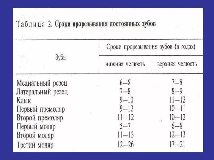 Зубы по возрасту таблица. Сроки прорезывания временных и постоянных зубов у детей. Периоды прорезывания молочных зубов у детей таблица. Сроки прорезывания зубов молочные и постоянные.