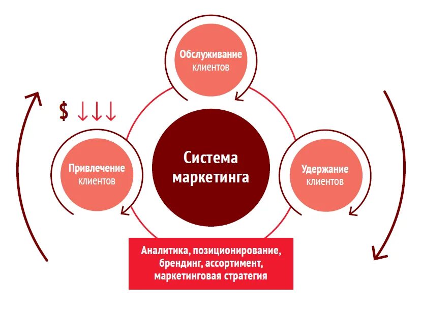 Маркетинговая стратегия продвижения. Маркетинговый ход для увеличения продаж. Стратегия развития магазина пример. Построение системы продаж. Стратегия развития интернет магазина.