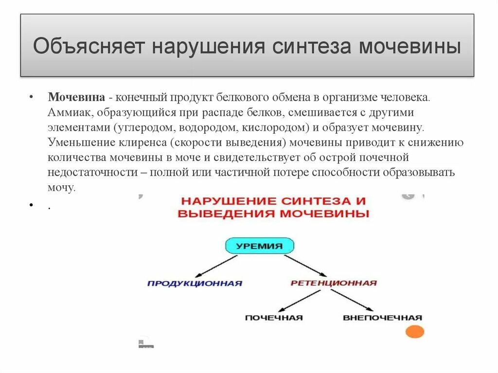 Мочевина продукт распада. Нарушения синтеза и выведения мочевины. Нарушение биосинтеза мочевины. Нарушение синтеза мочевины биохимия. Нарушение синтеза и распада белков.