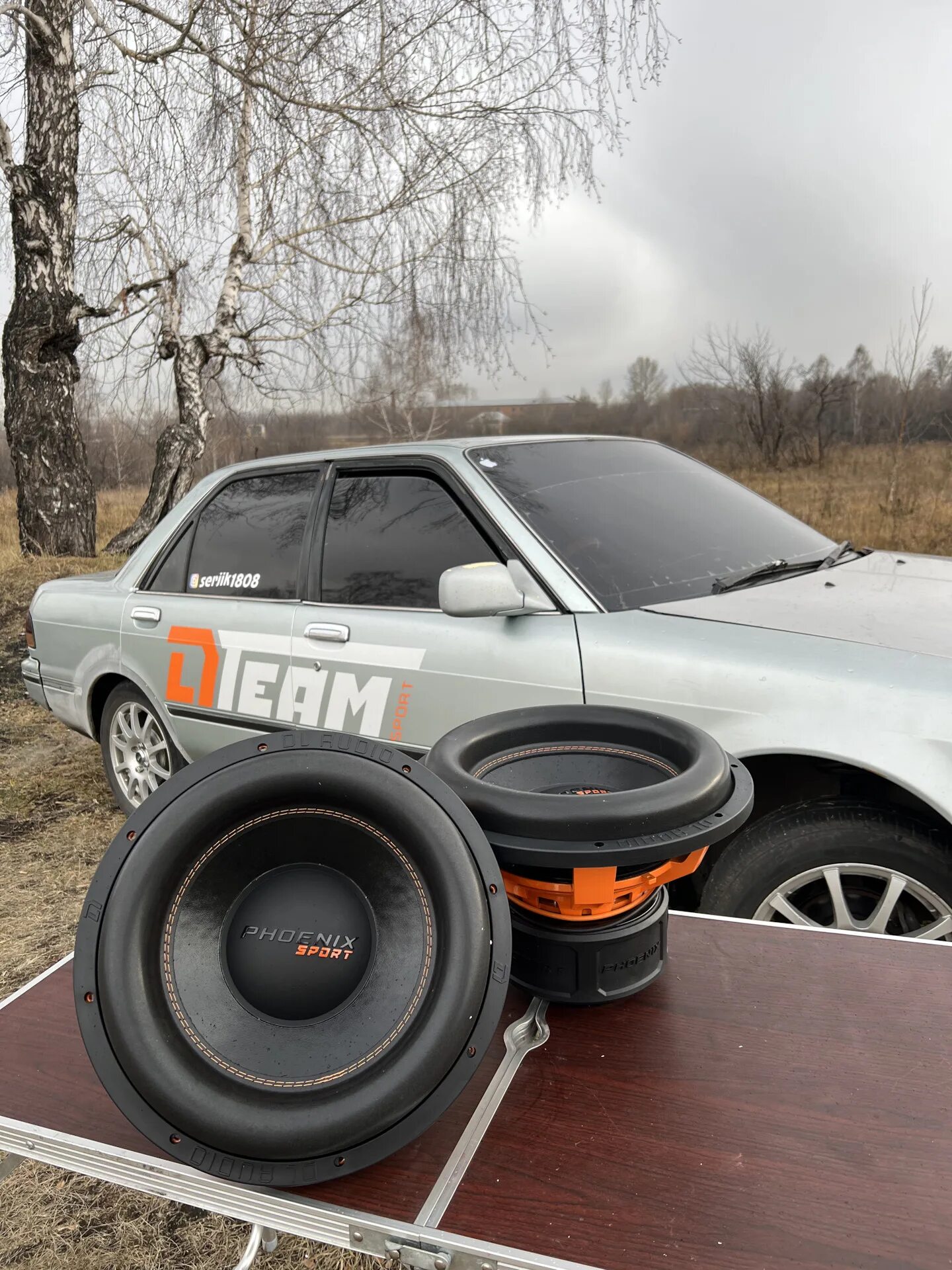 Dl phoenix 15. Dl audio phoenix sport 15. сабвуфер феникс спорт 15. две питнахи dl audio спорт в коробе. аудио спорт.
