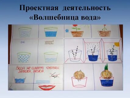 Проектная работа вода