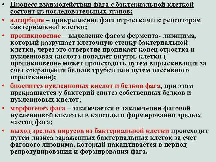 Умеренное взаимодействие бактериофага с клеткой. Взаимодействие бактериофага с бактериальной клеткой.