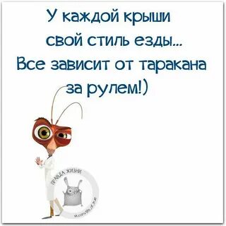 Отношения правда жизни