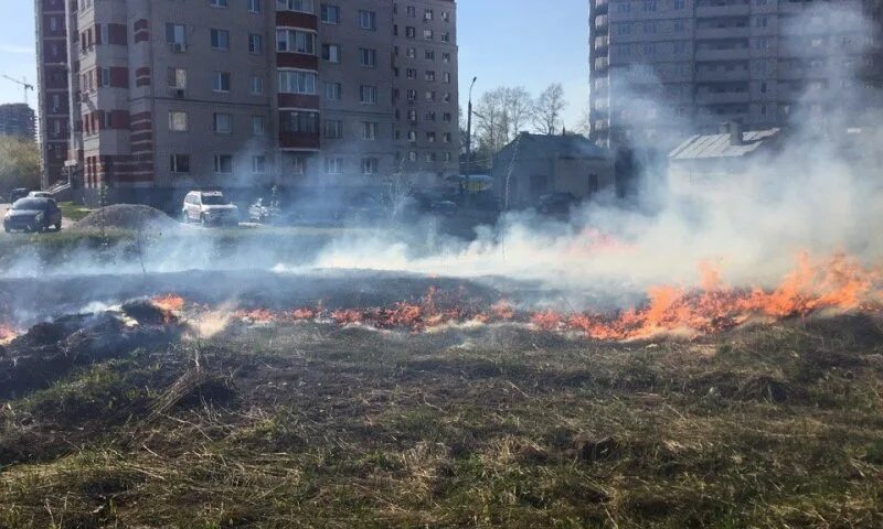 Горит трава. Сгоревшая трава около дома. Горит трава во дворе. Горящая сухая трава возле жилых домов. Горение гарь