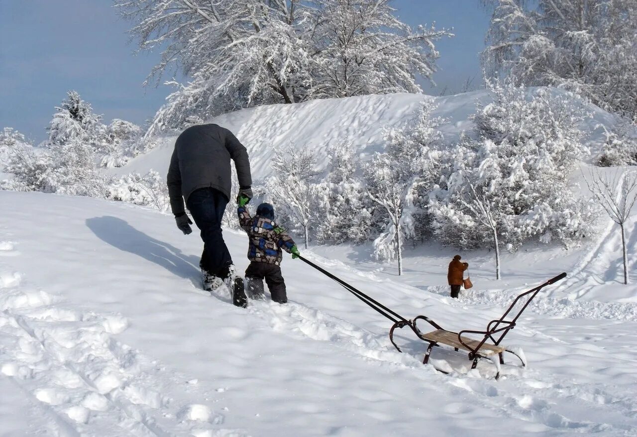 Санки. Спуск на санках. Спуск с горы на санках. Сани зимой.