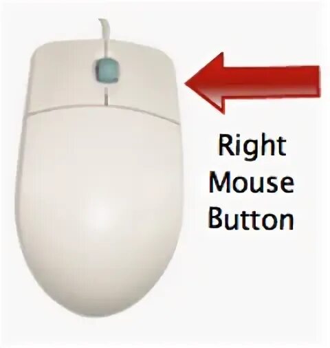 Right on the button. Right mouse кнопка. right mouse button кнопка. что такое right button (mouse) на клавиатуре. right mouse button кнопка на клавиатуре.