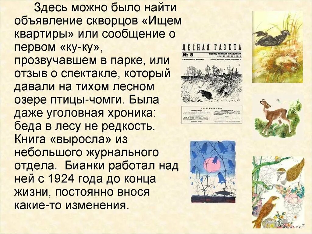 Рассказ бианки краткое содержание. Аннотация к книге Лесная газета Бианки 3. Бианки Лесная газета читательский дневник 3 класс.