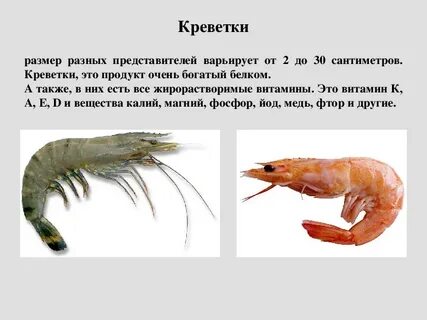 Как определить креветки