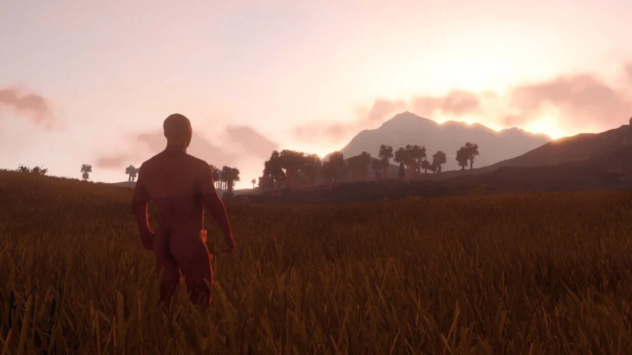 Rust eu main. Фон раст. rust фон. rust (игра). раст спиной.