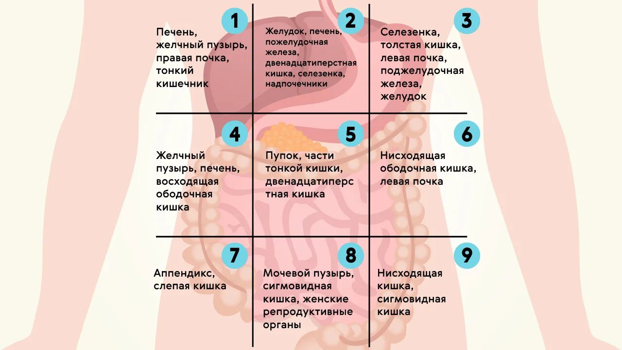 Сильная боль в эпигастральной области. Болит в области живота. Локализация боли в животе. Боль внизу живота. Зоны боли в животе.