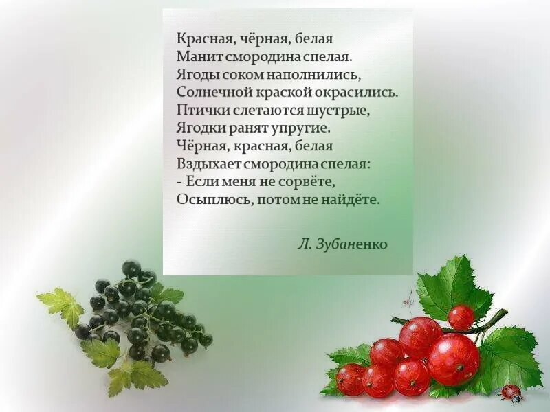 Черная смородина песня слова текст. Стихи о смородине. Стихи о красной смородине. Детские стихи про смородину. Смородина понижает давление.