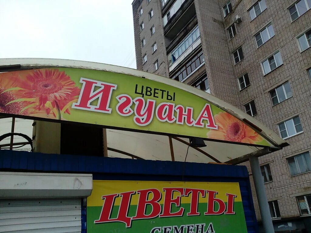 Вазоны великий новгород. Цветы про великий новгород. Великий новгород летом. Клумбы кремля нижний новгород. Цветы про великий новгород.