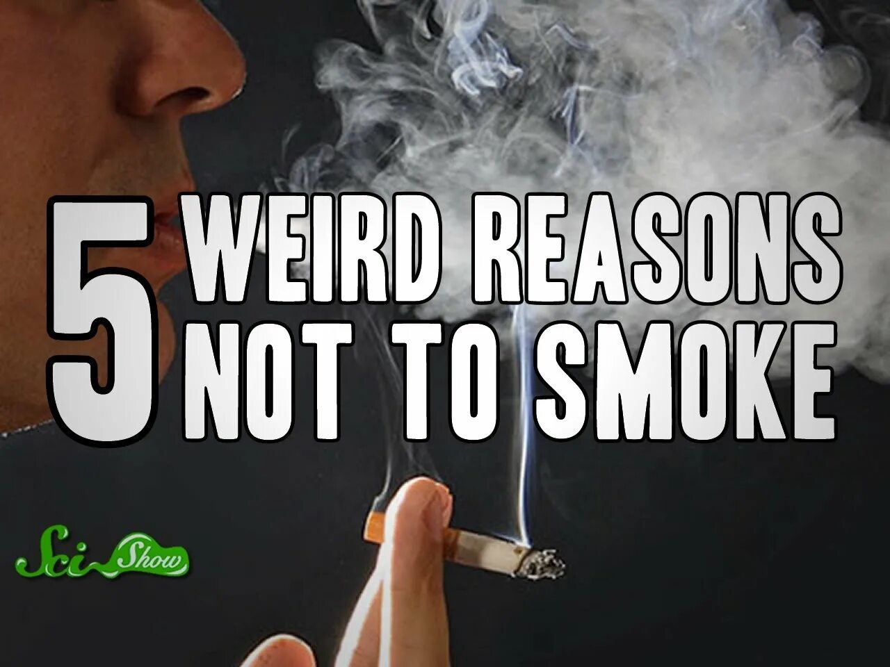 Stopped to smoke stopped smoking. You should not smoking. You should /// smoking. Not to Smoke. Reasons for smoking cigarettes.