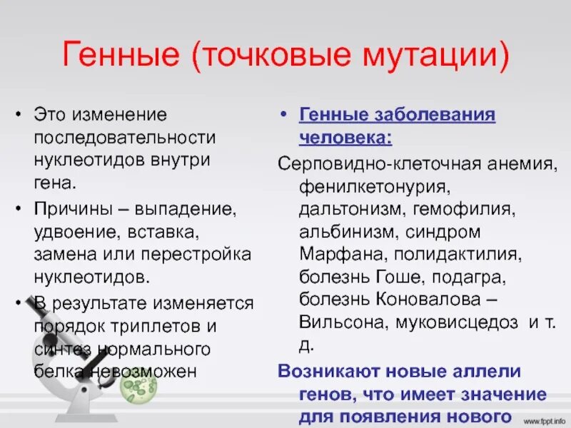 К описанию генных мутаций относятся. Генные или точковые мутации. Генные мутации точковые мутации. Генные точковые мутации примеры. Причины генетических мутаций.