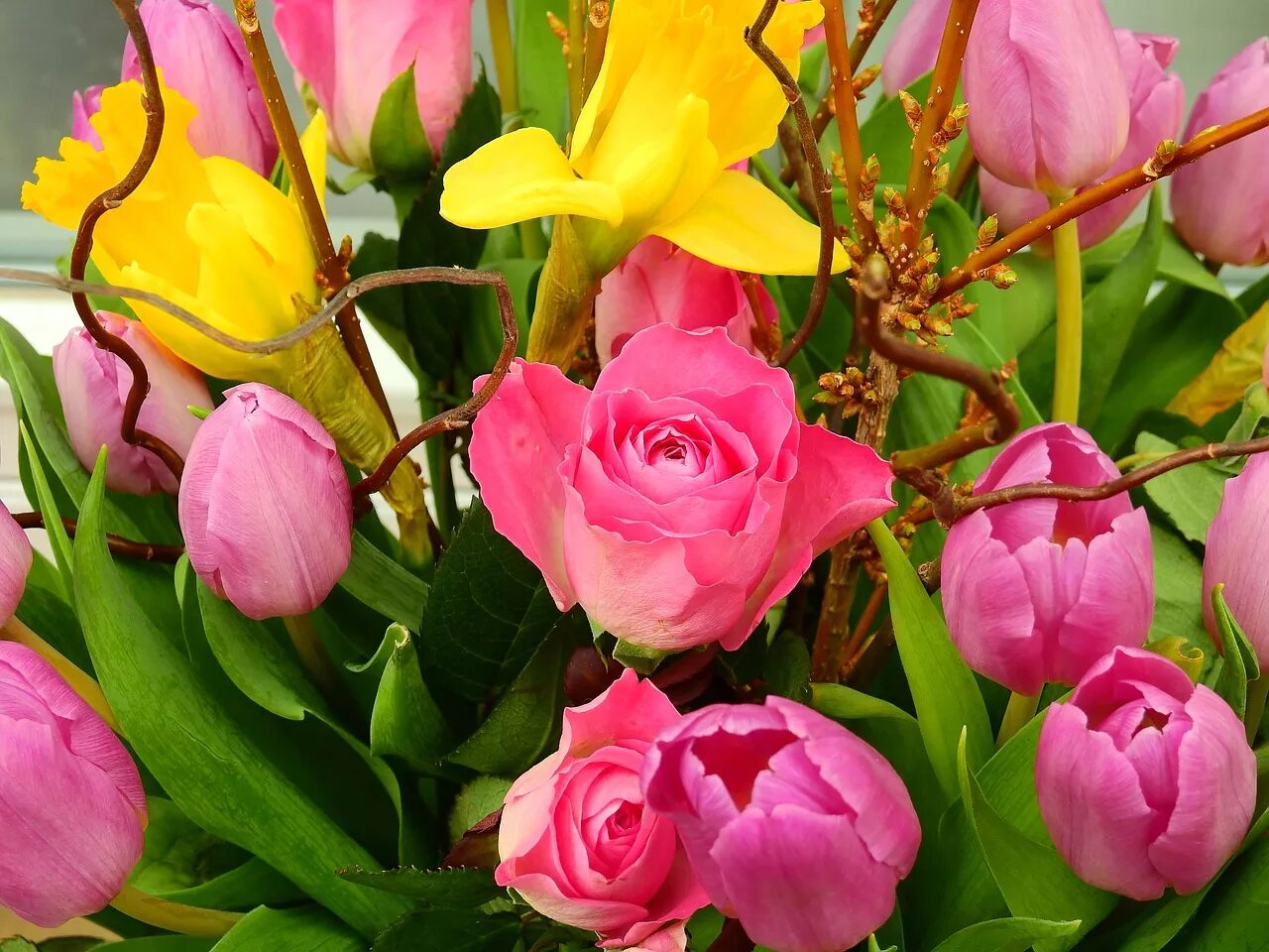 Купить розы и тюльпаны. Розы и тюльпаны. Тюльпаны розы гвоздики. Картинки красивые и яркие тюльпаны букет. Тюльпаны с гвоздикой.